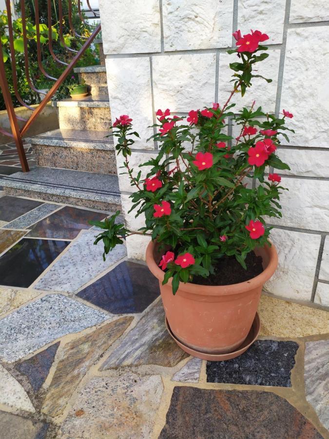 Apartments Samodol Vodice Extérieur photo
